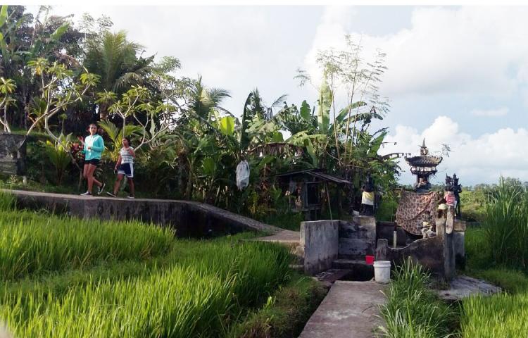 Mulai Dari Mengobati Berbagai Macam Penyakit Sampai Segernya Sensasi Mandi di Bulakan